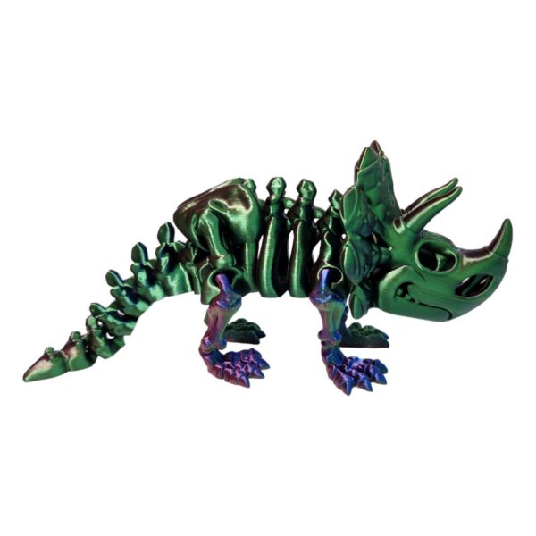Triceratops Skeleton - Image 2