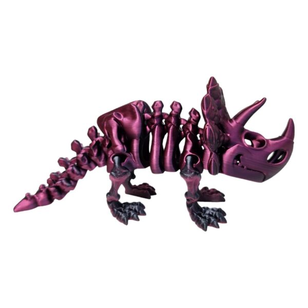 Triceratops Skeleton - Image 4
