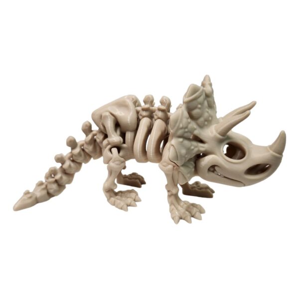 Triceratops Skeleton - Image 3