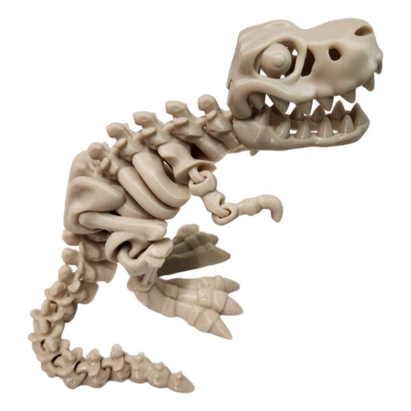 T-Rex Skeleton - Image 8